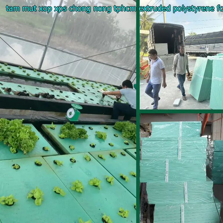 Nhà cung cấp tấm mút xốp XPS chống nóng TpHCM Extruded Polystyrene Foam: Công ty TNHH Ngọn Hải Đăng