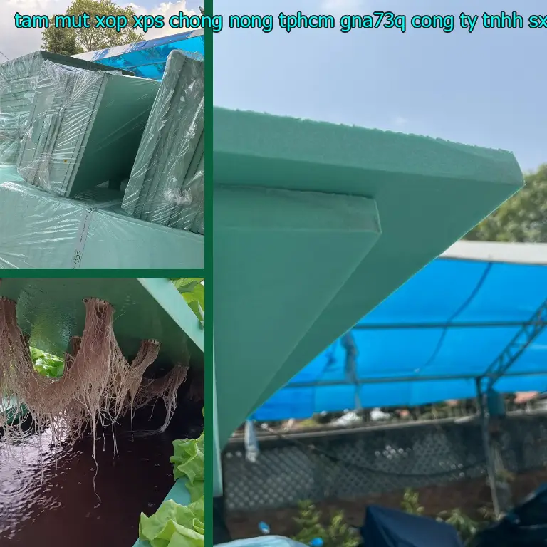 Nhà sản xuất tấm mút xốp XPS chống nóng TpHCM GNA73Q: Công ty TNHH SX TM và đầu tư Tiến Phong