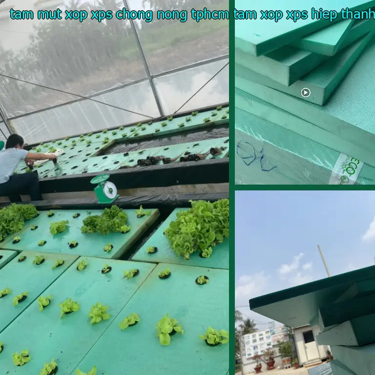 Ngày sản xuất tấm mút xốp XPS chống nóng TpHCM Tấm xốp XPS Hiệp Thành: 2024-06-19