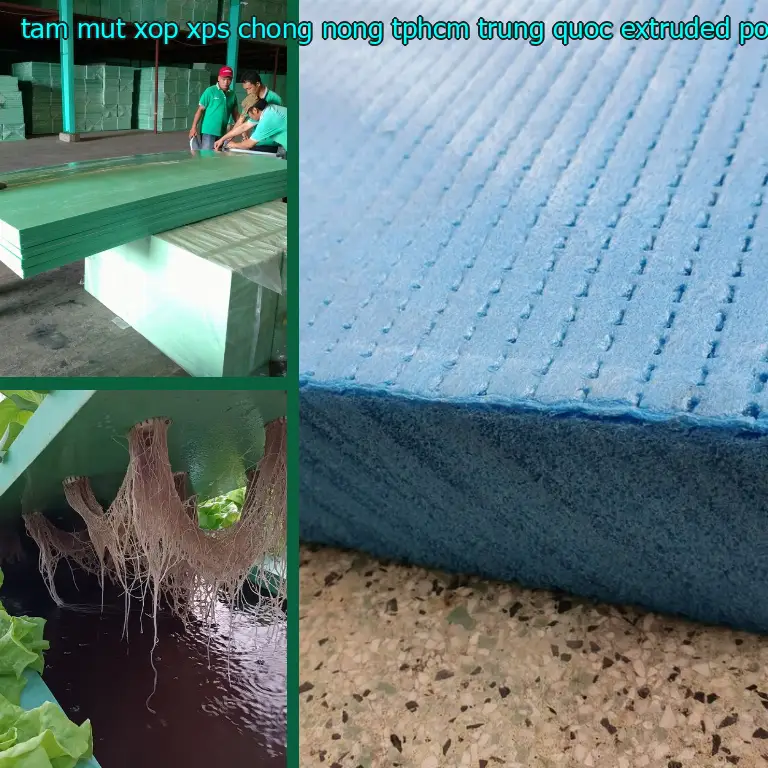 Chất liệu tấm mút xốp XPS chống nóng TpHCM Trung Quốc: Extruded Polystyrene Foam Chất liệu tấm mút xốp XPS chống nóng TpHCM Trung Quốc: Extruded Polystyrene Foam