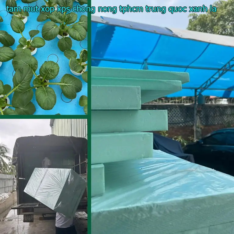 Màu sắc tấm mút xốp XPS chống nóng TpHCM Trung Quốc: Xanh lá Màu sắc tấm mút xốp XPS chống nóng TpHCM Trung Quốc: Xanh lá