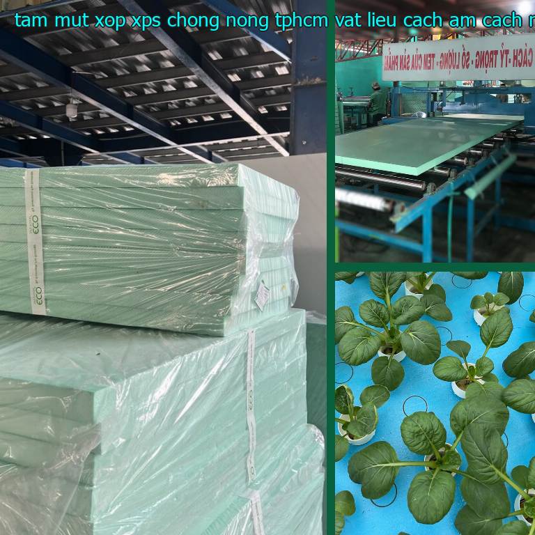 Nhà cung cấp tấm mút xốp XPS chống nóng TpHCM Vật liệu cách âm cách nhiệt Cát Tường: Cửa hàng tấm xốp Mr.HẢI