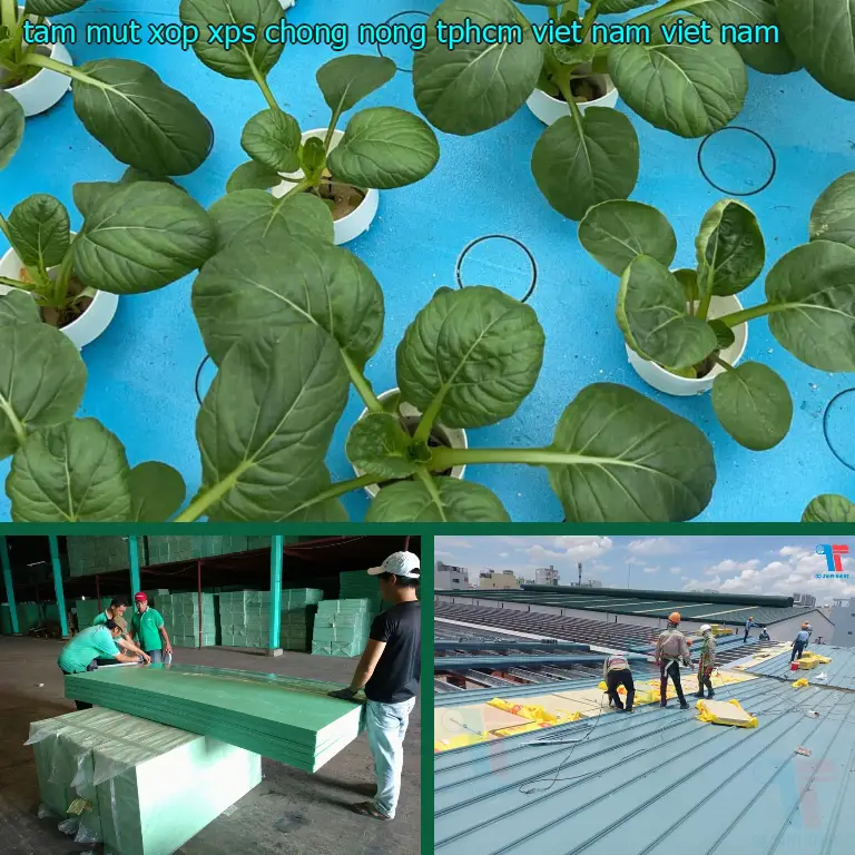 Xuất xứ tấm mút xốp XPS chống nóng TpHCM Viet Nam: Viet Nam Xuất xứ tấm mút xốp XPS chống nóng TpHCM Viet Nam: Viet Nam