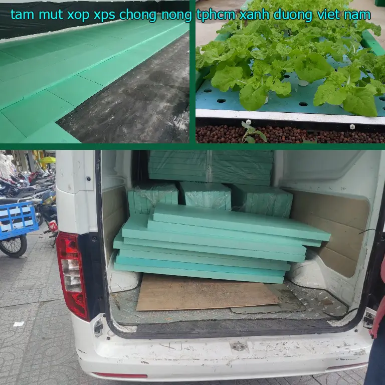 Xuất xứ tấm mút xốp XPS chống nóng TpHCM Xanh dương: Việt Nam