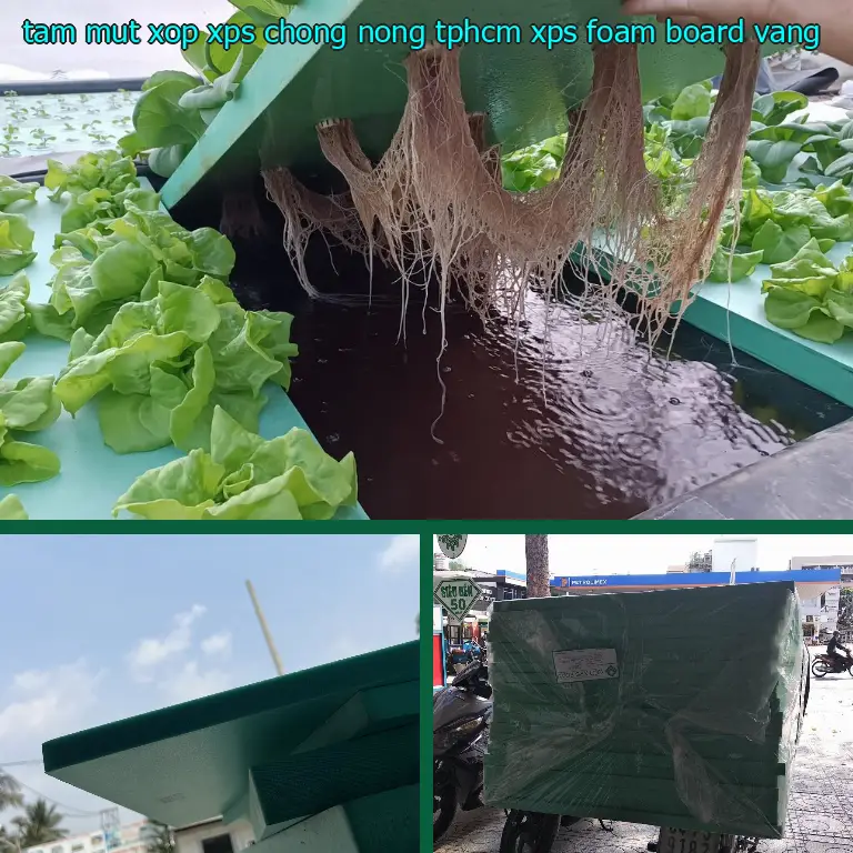 Màu sắc tấm mút xốp XPS chống nóng TpHCM XPS Foam Board: Vàng
