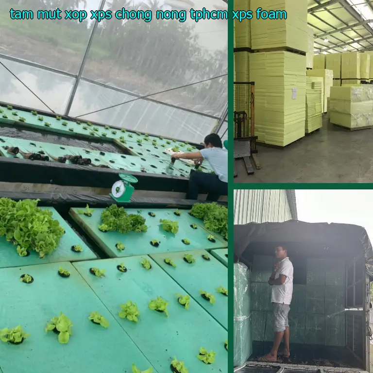 Tấm mút xốp XPS chống nóng TpHCM XPS Foam