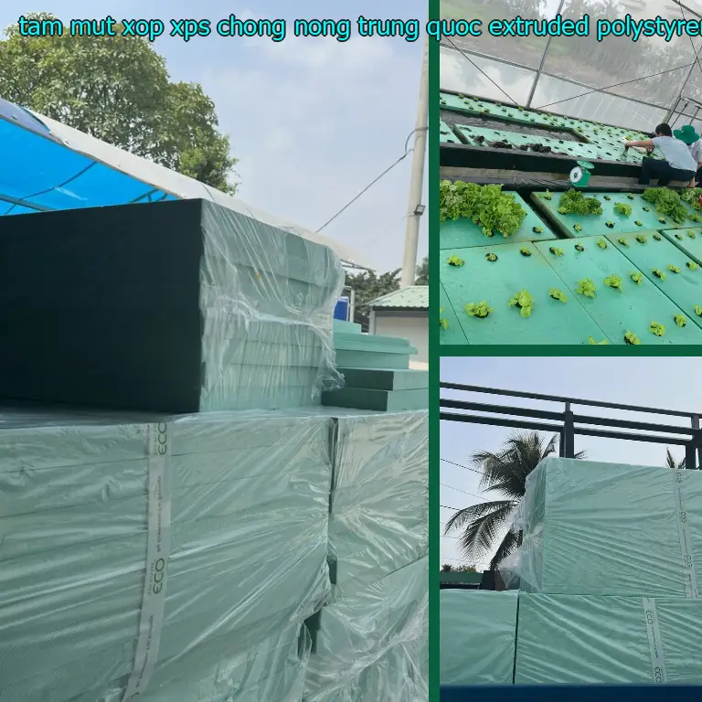 Chất liệu tấm mút xốp XPS chống nóng Trung Quốc: Extruded Polystyrene Foam