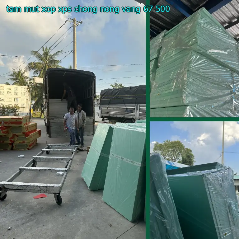 Đơn giá tấm mút xốp XPS chống nóng Vàng: 67.500₫ Đơn giá tấm mút xốp XPS chống nóng Vàng: 67.500₫