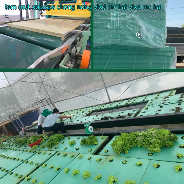 Nhà cung cấp tấm mút xốp XPS chống nóng VLXD Mr.HẢI: VLXD Mr.HẢI