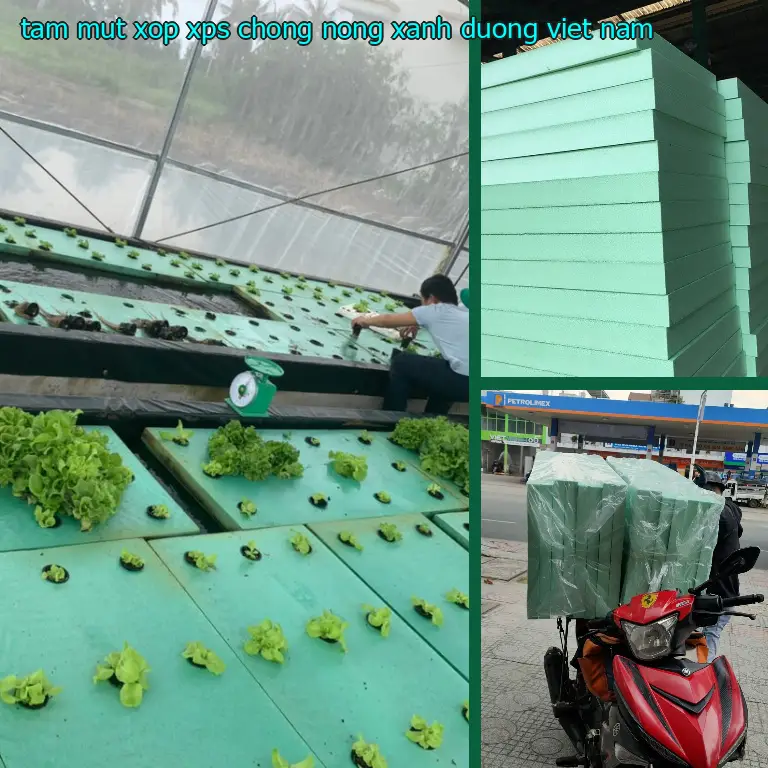 Xuất xứ tấm mút xốp XPS chống nóng Xanh dương: Viet Nam Xuất xứ tấm mút xốp XPS chống nóng Xanh dương: Viet Nam
