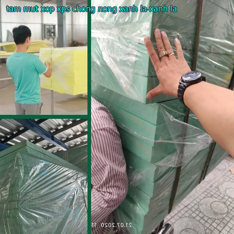 Màu sắc tấm mút xốp XPS chống nóng Xanh lá: Xanh lá Màu sắc tấm mút xốp XPS chống nóng Xanh lá: Xanh lá