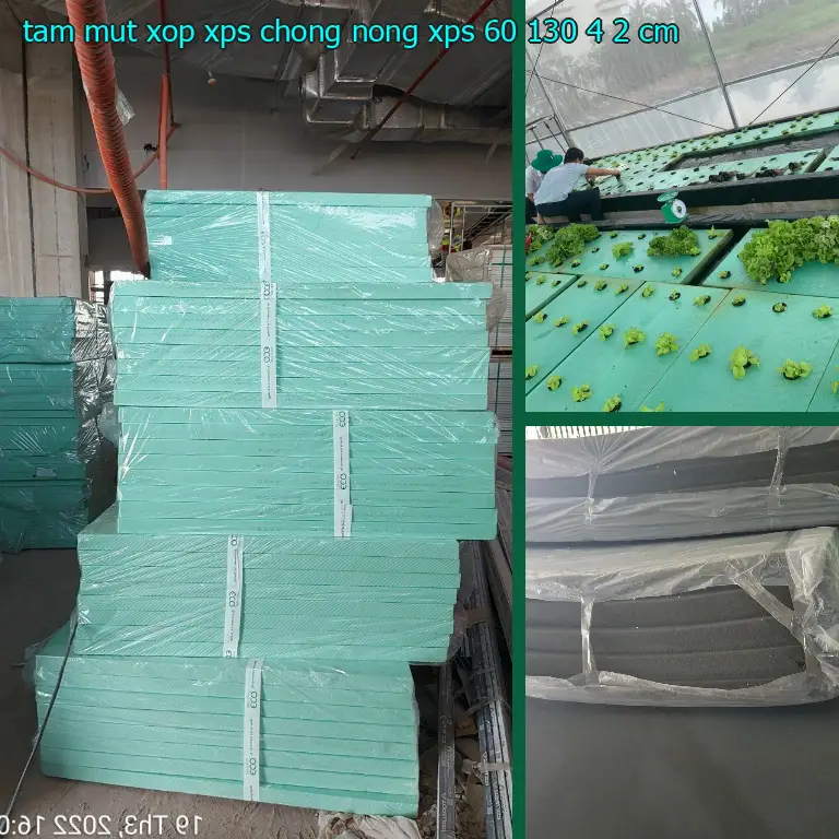Kích thước tấm mút xốp XPS chống nóng XPS: 60*130*4.2 cm Kích thước tấm mút xốp XPS chống nóng XPS: 60*130*4.2 cm