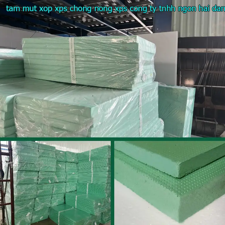 Nhà cung cấp tấm mút xốp XPS chống nóng XPS: Công ty TNHH Ngọn Hải Đăng Nhà cung cấp tấm mút xốp XPS chống nóng XPS: Công ty TNHH Ngọn Hải Đăng