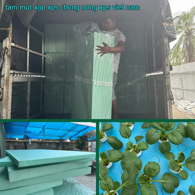 Xuất xứ tấm mút xốp XPS chống nóng XPS: Việt Nam Xuất xứ tấm mút xốp XPS chống nóng XPS: Việt Nam