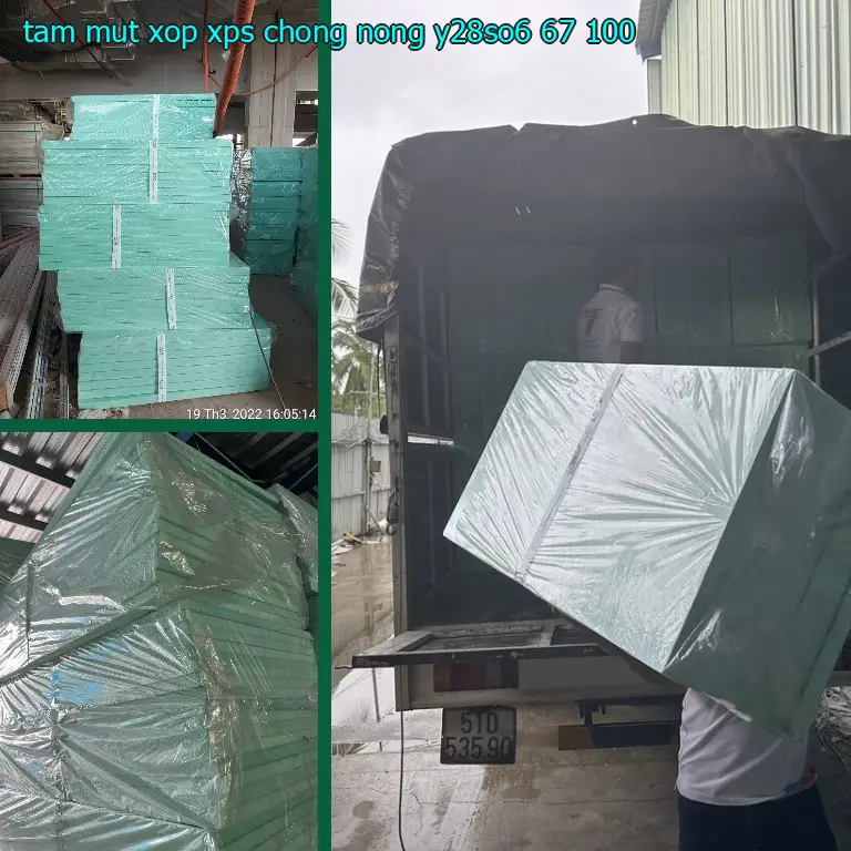 Giá tấm mút xốp XPS chống nóng Y28SO6: 67.100₫ Giá tấm mút xốp XPS chống nóng Y28SO6: 67.100₫