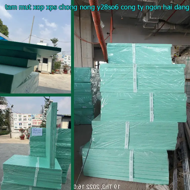 Nhà cung cấp tấm mút xốp XPS chống nóng Y28SO6: Công ty Ngọn Hải Đăng Nhà cung cấp tấm mút xốp XPS chống nóng Y28SO6: Công ty Ngọn Hải Đăng
