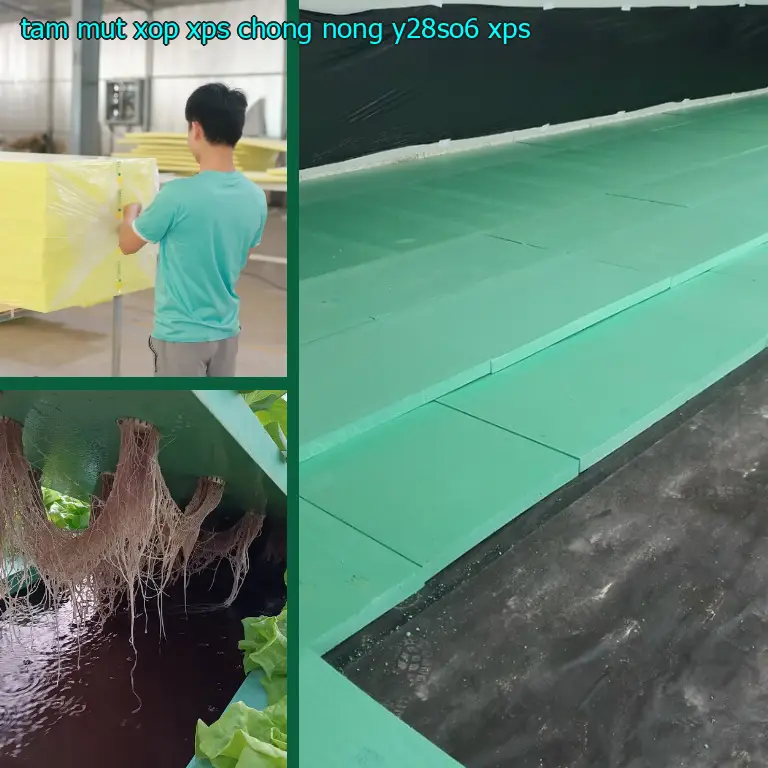 Chất liệu tấm mút xốp XPS chống nóng Y28SO6: XPS Chất liệu tấm mút xốp XPS chống nóng Y28SO6: XPS
