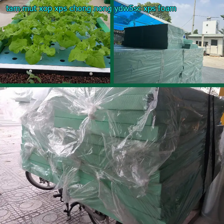Danh mục tấm mút xốp XPS chống nóng YDW5SC: XPS Foam Danh mục tấm mút xốp XPS chống nóng YDW5SC: XPS Foam
