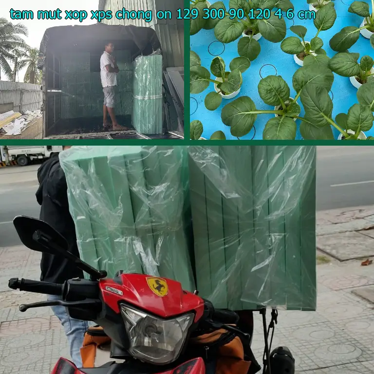 Kích thước tấm mút xốp XPS chống ồn 129.300₫: 90*120*4.6 cm Kích thước tấm mút xốp XPS chống ồn 129.300₫: 90*120*4.6 cm