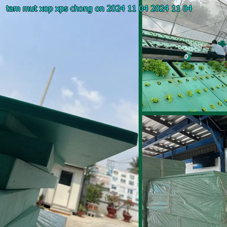 Ngày sản xuất tấm mút xốp XPS chống ồn 2024-11-04: 2024-11-04 Ngày sản xuất tấm mút xốp XPS chống ồn 2024-11-04: 2024-11-04