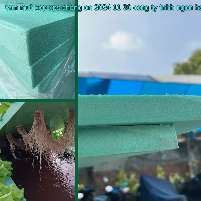 Nhà cung cấp tấm mút xốp XPS chống ồn 2024-11-30: Công ty TNHH Ngọn Hải Đăng