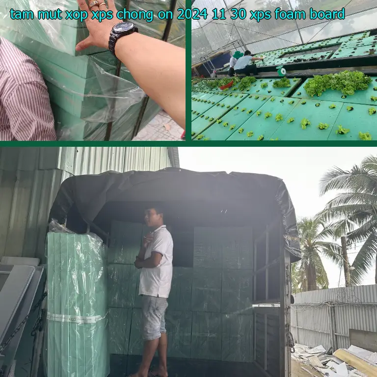 Danh mục tấm mút xốp XPS chống ồn 2024-11-30: XPS Foam Board