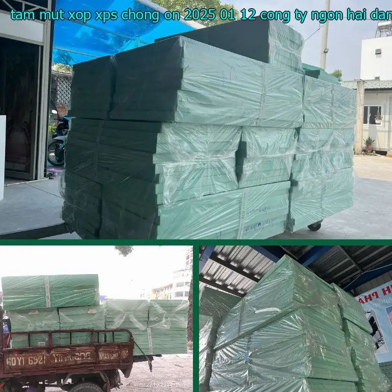 Nhà cung cấp tấm mút xốp XPS chống ồn 2025-01-12: Công ty Ngọn Hải Đăng Nhà cung cấp tấm mút xốp XPS chống ồn 2025-01-12: Công ty Ngọn Hải Đăng