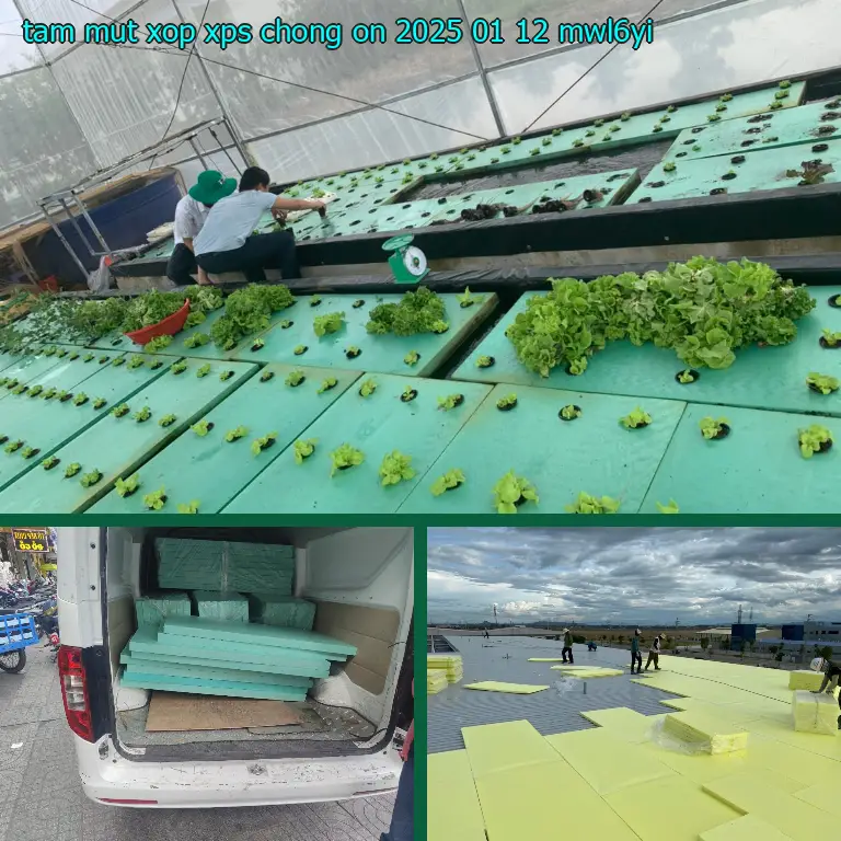 Model tấm mút xốp XPS chống ồn 2025-01-12: MWL6YI Model tấm mút xốp XPS chống ồn 2025-01-12: MWL6YI