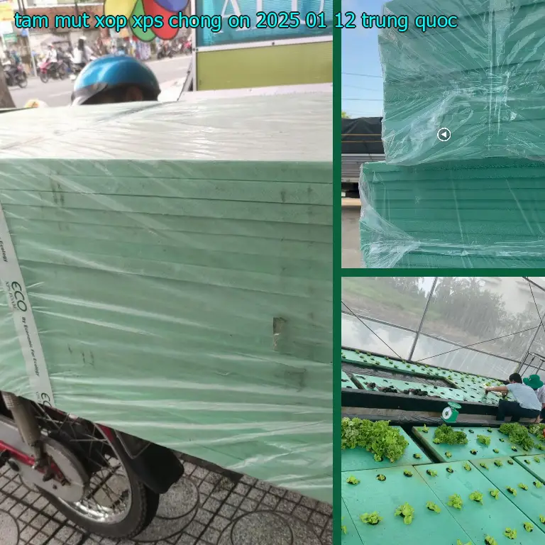 Xuất xứ tấm mút xốp XPS chống ồn 2025-01-12: Trung Quốc Xuất xứ tấm mút xốp XPS chống ồn 2025-01-12: Trung Quốc