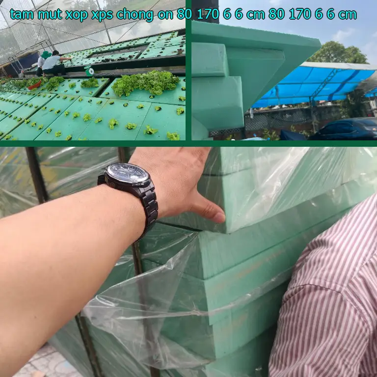 Kích thước tấm mút xốp XPS chống ồn 80*170*6.6 cm: 80*170*6.6 cm