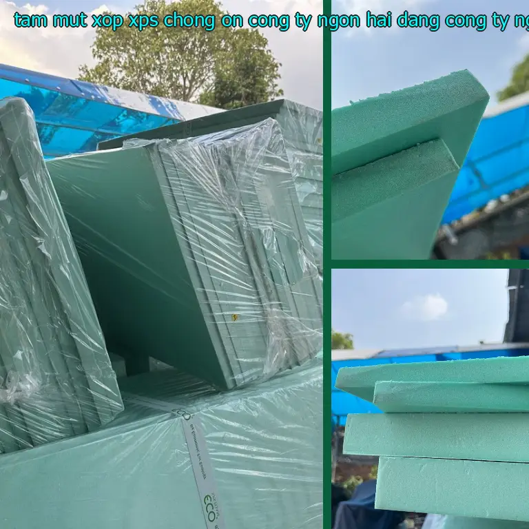 Nhà cung cấp tấm mút xốp XPS chống ồn Công ty Ngọn Hải Đăng: Công ty Ngọn Hải Đăng Nhà cung cấp tấm mút xốp XPS chống ồn Công ty Ngọn Hải Đăng: Công ty Ngọn Hải Đăng