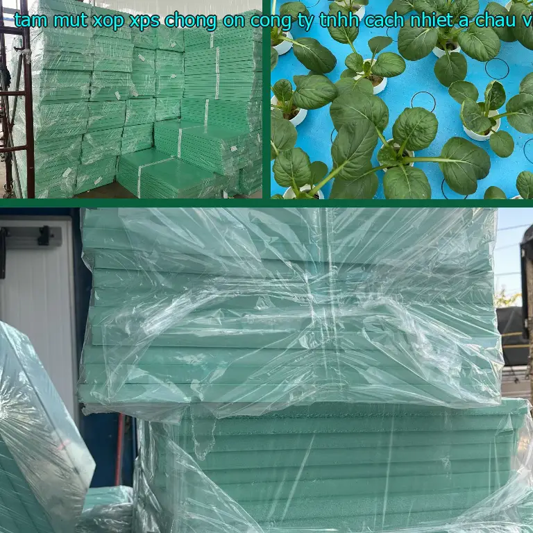 Xuất xứ tấm mút xốp XPS chống ồn Công ty TNHH cách nhiệt Á Châu: Viet Nam