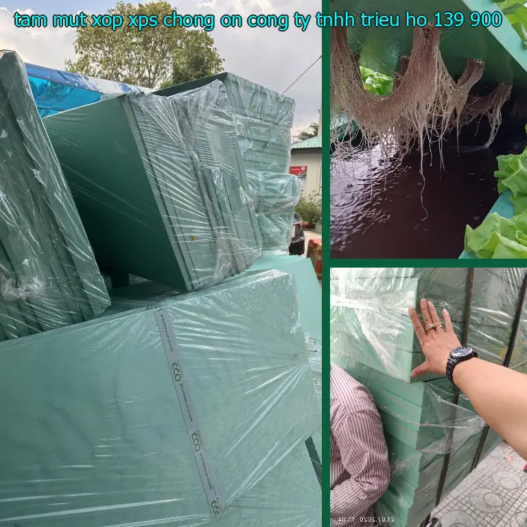 Đơn giá tấm mút xốp XPS chống ồn Công ty TNHH Triệu Hổ: 139.900₫ Đơn giá tấm mút xốp XPS chống ồn Công ty TNHH Triệu Hổ: 139.900₫