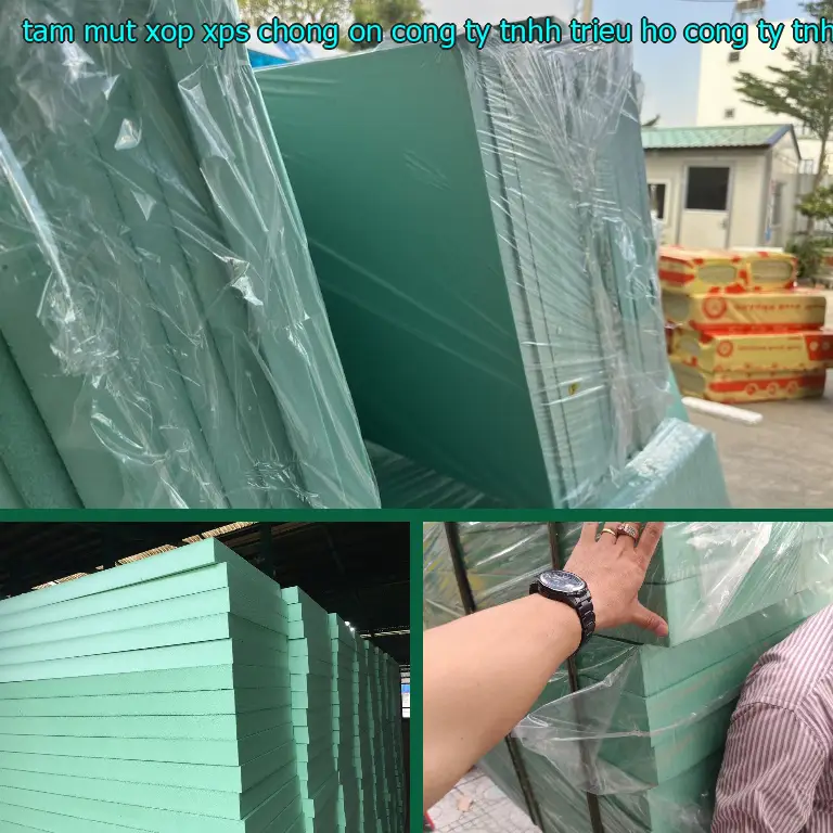 Nhà sản xuất tấm mút xốp XPS chống ồn Công ty TNHH Triệu Hổ: Công ty TNHH Triệu Hổ Nhà sản xuất tấm mút xốp XPS chống ồn Công ty TNHH Triệu Hổ: Công ty TNHH Triệu Hổ