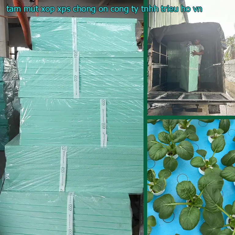 Xuất xứ tấm mút xốp XPS chống ồn Công ty TNHH Triệu Hổ: VN Xuất xứ tấm mút xốp XPS chống ồn Công ty TNHH Triệu Hổ: VN