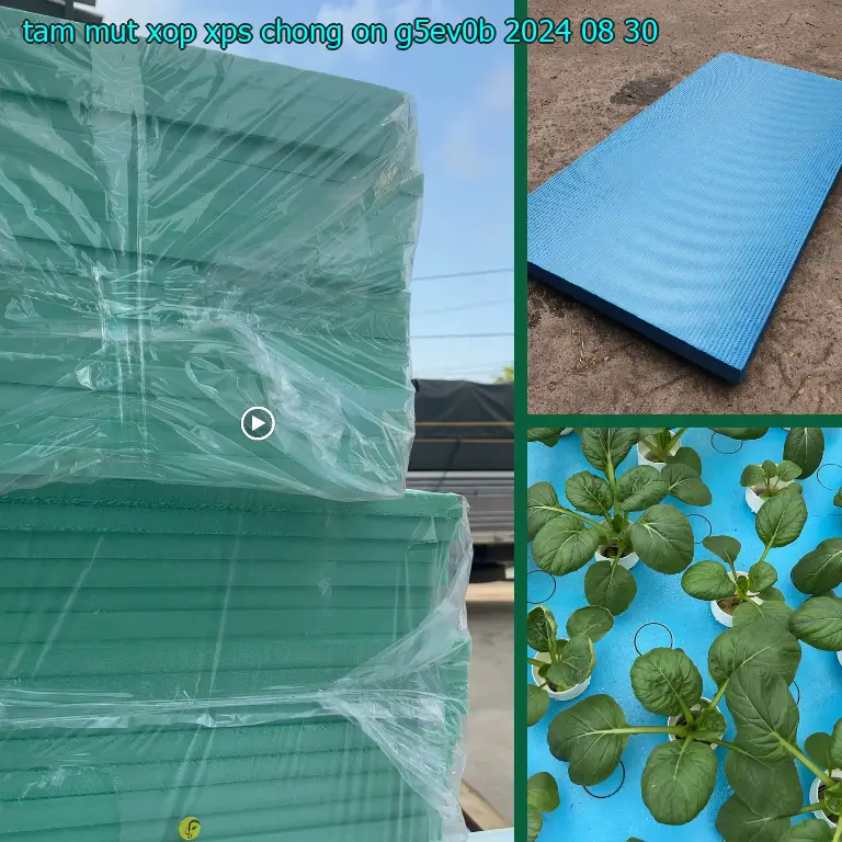Ngày sản xuất tấm mút xốp XPS chống ồn G5EV0B: 2024-08-30 Ngày sản xuất tấm mút xốp XPS chống ồn G5EV0B: 2024-08-30