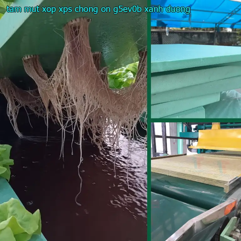 Màu sắc tấm mút xốp XPS chống ồn G5EV0B: Xanh dương Màu sắc tấm mút xốp XPS chống ồn G5EV0B: Xanh dương
