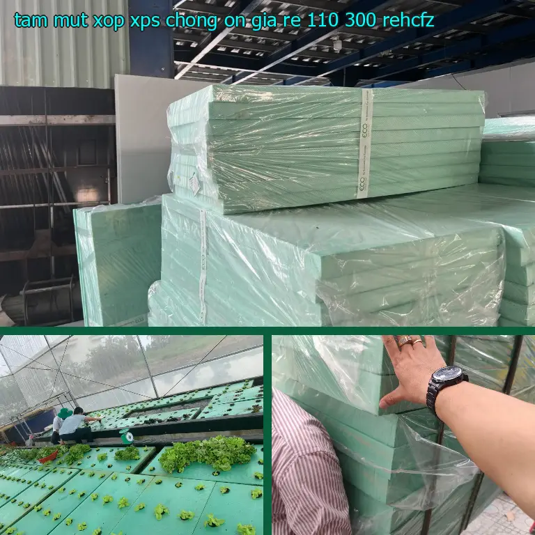 Model tấm mút xốp XPS chống ồn giá rẻ 110.300₫: REHCFZ Model tấm mút xốp XPS chống ồn giá rẻ 110.300₫: REHCFZ