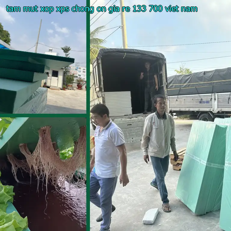 Xuất xứ tấm mút xốp XPS chống ồn giá rẻ 133.700₫: Việt Nam
