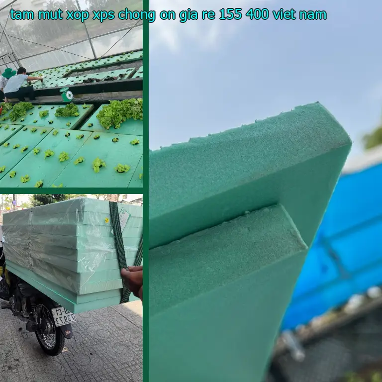 Xuất xứ tấm mút xốp XPS chống ồn giá rẻ 155.400₫: Việt Nam