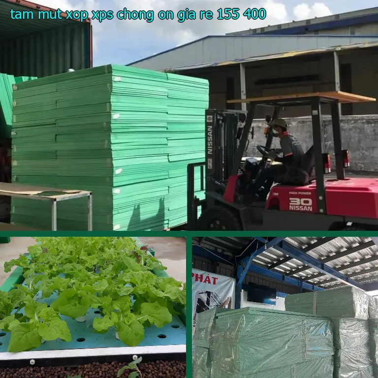 Tấm mút xốp XPS chống ồn giá rẻ 155.400₫