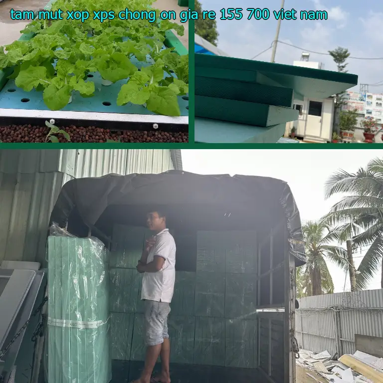 Xuất xứ tấm mút xốp XPS chống ồn giá rẻ 155.700₫: Viet Nam Xuất xứ tấm mút xốp XPS chống ồn giá rẻ 155.700₫: Viet Nam
