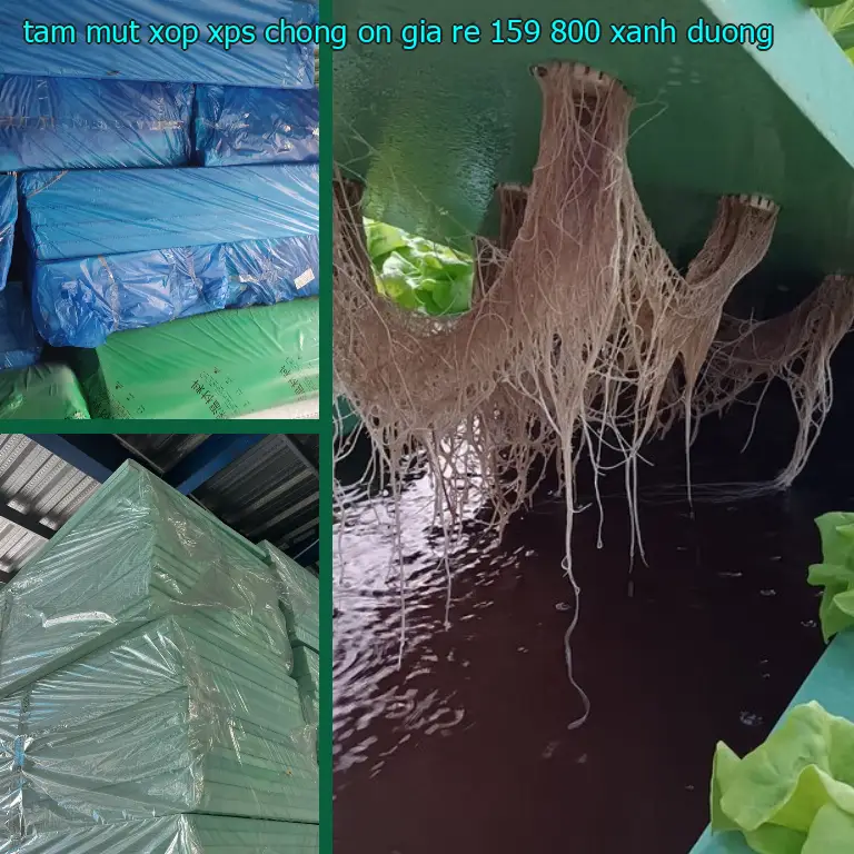 Màu sắc tấm mút xốp XPS chống ồn giá rẻ 159.800₫: Xanh dương Màu sắc tấm mút xốp XPS chống ồn giá rẻ 159.800₫: Xanh dương