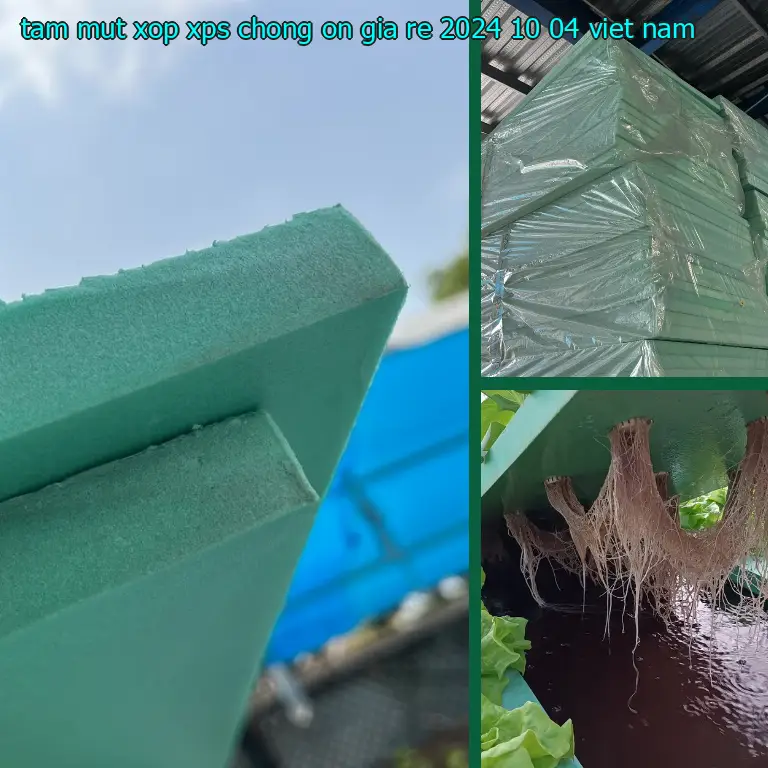 Xuất xứ tấm mút xốp XPS chống ồn giá rẻ 2024-10-04: Việt Nam