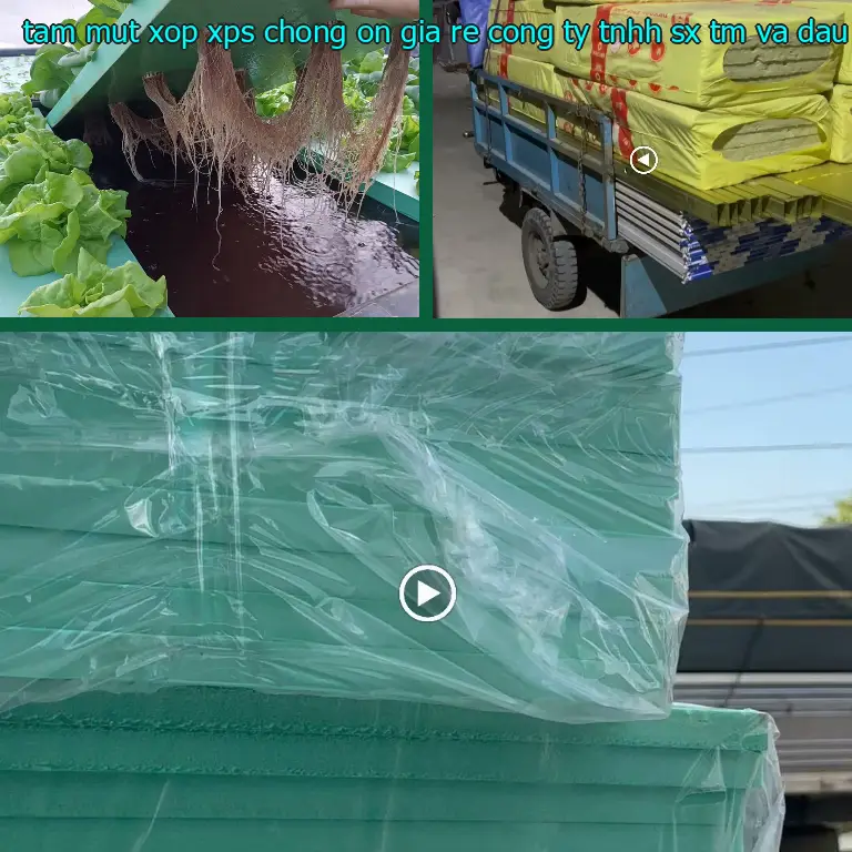 Chất liệu tấm mút xốp XPS chống ồn giá rẻ Công ty TNHH SX TM và đầu tư Tiến Phong: Extruded Polystyrene Foam Chất liệu tấm mút xốp XPS chống ồn giá rẻ Công ty TNHH SX TM và đầu tư Tiến Phong: Extruded Polystyrene Foam
