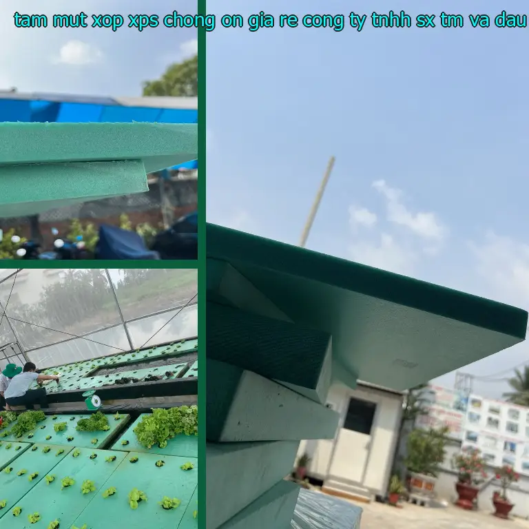 Model tấm mút xốp XPS chống ồn giá rẻ Công ty TNHH SX TM và đầu tư Tiến Phong: U47A8H Model tấm mút xốp XPS chống ồn giá rẻ Công ty TNHH SX TM và đầu tư Tiến Phong: U47A8H