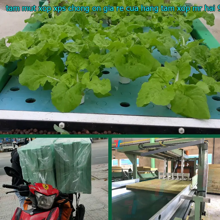 Kích thước tấm mút xốp XPS chống ồn giá rẻ Cửa hàng tấm xốp Mr.HẢI: 90*130*6.9 cm Kích thước tấm mút xốp XPS chống ồn giá rẻ Cửa hàng tấm xốp Mr.HẢI: 90*130*6.9 cm