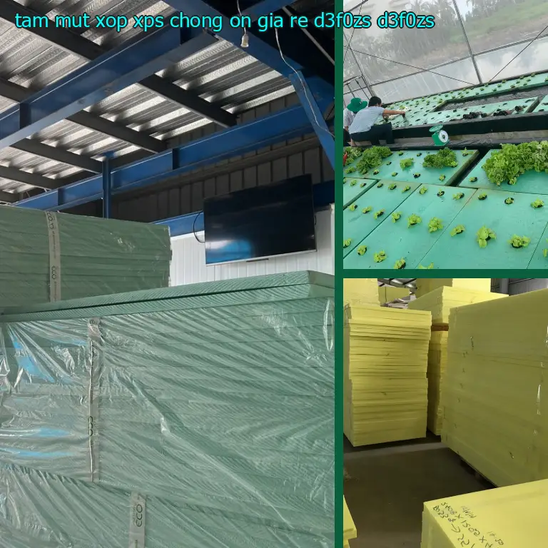 Model tấm mút xốp XPS chống ồn giá rẻ D3F0ZS: D3F0ZS Model tấm mút xốp XPS chống ồn giá rẻ D3F0ZS: D3F0ZS