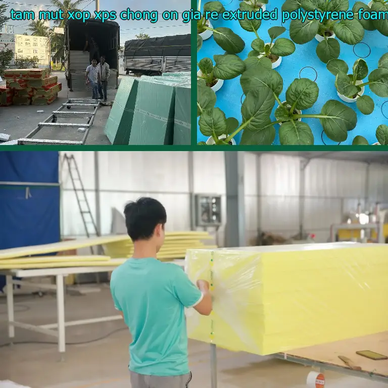 Giá tấm mút xốp XPS chống ồn giá rẻ Extruded Polystyrene Foam: 118.300₫ Giá tấm mút xốp XPS chống ồn giá rẻ Extruded Polystyrene Foam: 118.300₫
