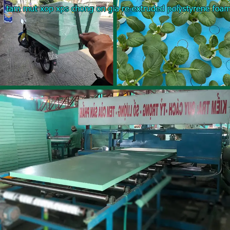 Danh mục tấm mút xốp XPS chống ồn giá rẻ Extruded Polystyrene Foam: Xốp XPS Danh mục tấm mút xốp XPS chống ồn giá rẻ Extruded Polystyrene Foam: Xốp XPS